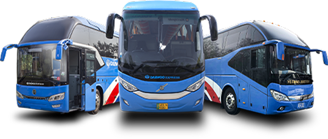 Daewoo Express Buses